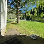Hagusane Lærdalsøyri