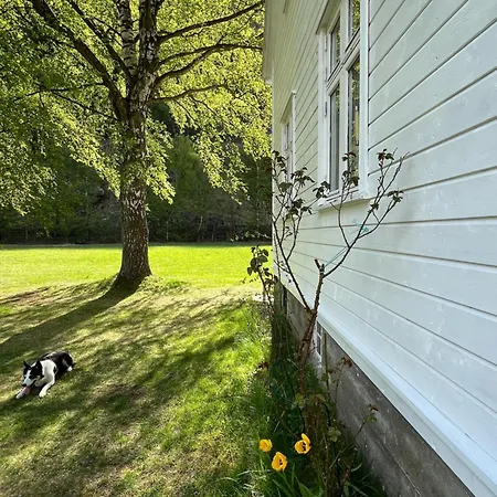 Hagusane * Lærdalsøyri