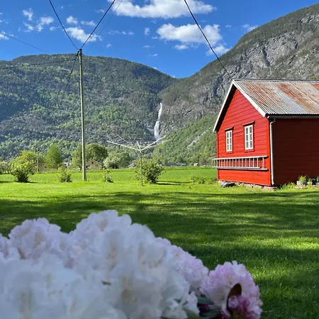 Feriehus Hagusane Lærdalsøyri