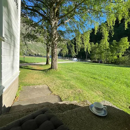 Hagusane Lærdalsøyri