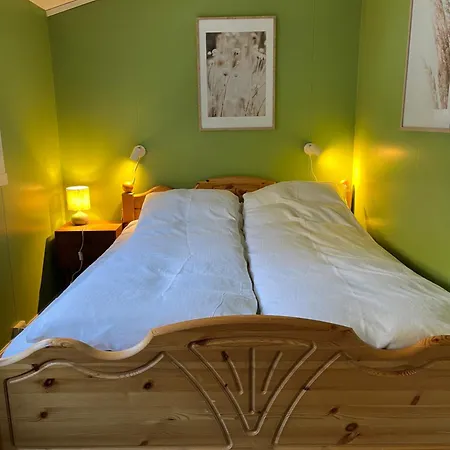 Feriehus Hagusane Lærdalsøyri